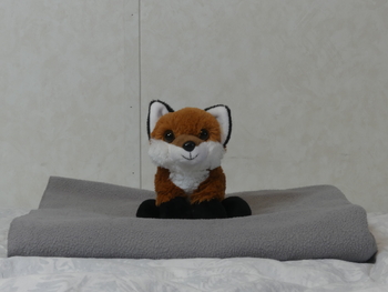 Unnamed 34 (Red Fox, Wild Republic)